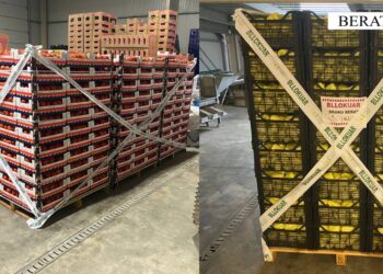 Nisin arrestimet për masakrën ushqimore në Shqipëri