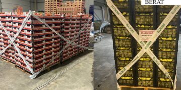 Nisin arrestimet për masakrën ushqimore në Shqipëri