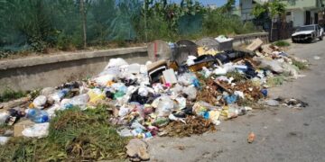Pse gjenerohen kaq shume plehra në Tiranë?