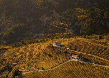 Media italiane: Në Leskovik prodhohet vera më e mirë e Shqipërisë