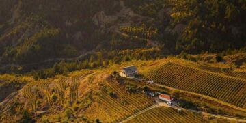 Media italiane: Në Leskovik prodhohet vera më e mirë e Shqipërisë