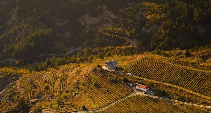 Media italiane: Në Leskovik prodhohet vera më e mirë e Shqipërisë