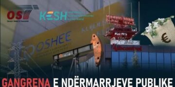 Gangrena e ndërmarrjeve publike: Si po përdoren KESH, OSHEE, OST si hambar RROGASH ndërkohë që janë në krizë financiare