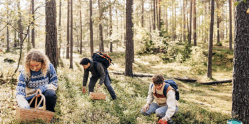 Luks dhe natyrë, trendi i ri i pushimeve të pasanikëve