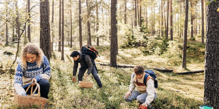 Luks dhe natyrë, trendi i ri i pushimeve të pasanikëve