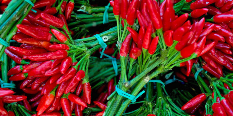 Pesticide mbi normë, Kroacia bllokon 8 mijë kilogramë speca të kuq djegës nga Shqipëria