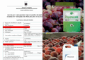 SKANDALI/ Kompania “FRUIT CO” importoi dhe iu serviri shqiptarëve 7 tonë pjeshkë dhe rrush me pesticide të ndaluara