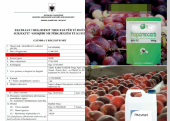 SKANDALI/ Kompania “FRUIT CO” importoi dhe iu serviri shqiptarëve 7 tonë pjeshkë dhe rrush me pesticide të ndaluara