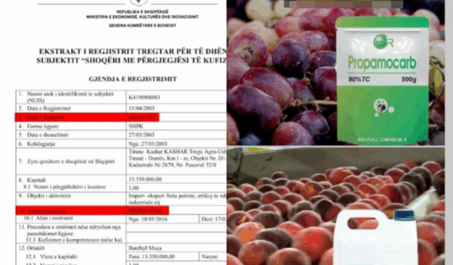 SKANDALI/ Kompania “FRUIT CO” importoi dhe iu serviri shqiptarëve 7 tonë pjeshkë dhe rrush me pesticide të ndaluara