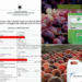 SKANDALI/ Kompania “FRUIT CO” importoi dhe iu serviri shqiptarëve 7 tonë pjeshkë dhe rrush me pesticide të ndaluara