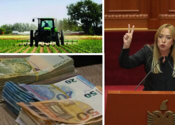 Dumani konfirmon hetimet e SPAK për abuzimet me fondet e IPARD, përfituesit grupe kriminale dhe të afërmit e politikanëve