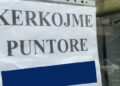Shqipëria dhe Kosova me numrin më të lartë të të rinjve që nuk punojnë