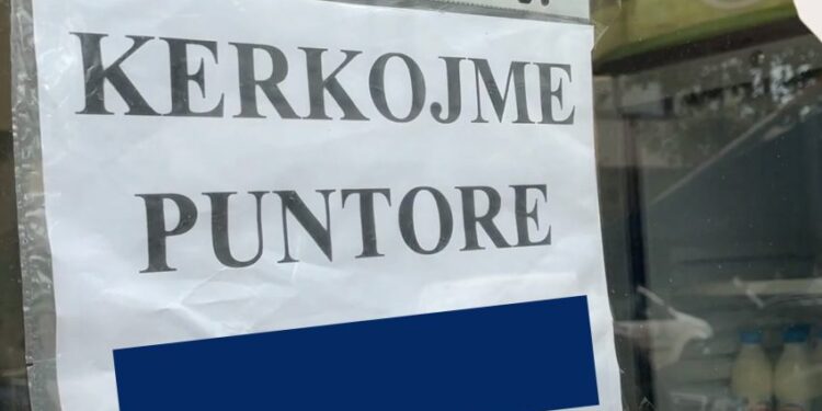 Shqipëria dhe Kosova me numrin më të lartë të të rinjve që nuk punojnë