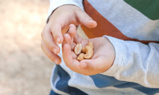 Fillimi i hershëm i ushqyerjes me kikirikë ul ndjeshëm alergjitë ushqimore