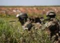 “Boom” i tregut të mercenarëve në botë