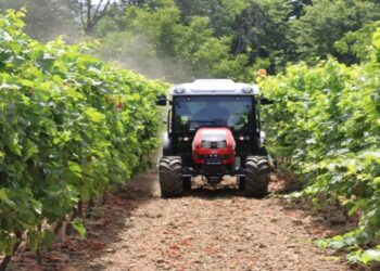 Shpallen fituesit e parë të naftës, sa para përfitojnë fermerët sipas kulturave bujqësore