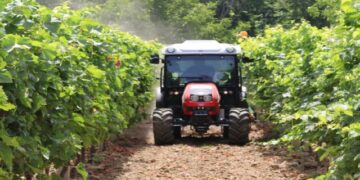 Shpallen fituesit e parë të naftës, sa para përfitojnë fermerët sipas kulturave bujqësore