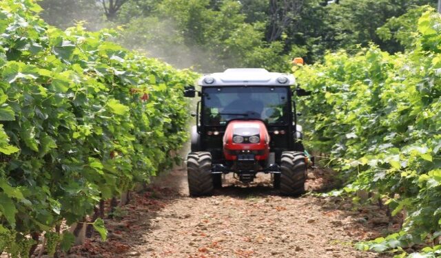 Shpallen fituesit e parë të naftës, sa para përfitojnë fermerët sipas kulturave bujqësore