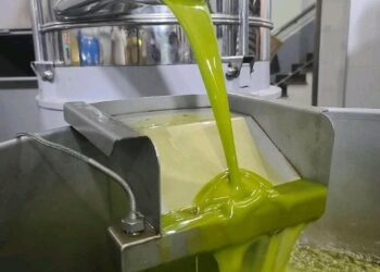 E thonë shkencëtarët: Vaji i ullirit ndihmon trupin kundër kancerit