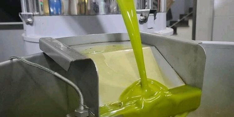 E thonë shkencëtarët: Vaji i ullirit ndihmon trupin kundër kancerit