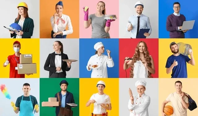 Agjencia Kombëtare e Punësimit publikon të dhënat: Cilat profesione kërkohen më shumë sipas arsimimit?