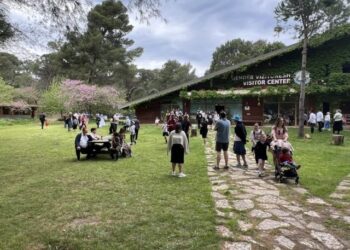 FOTO/ Divjakë-Karavasta parku më i vizituar nga turistët, 428 mijë në 10 muaj
