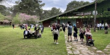 FOTO/ Divjakë-Karavasta parku më i vizituar nga turistët, 428 mijë në 10 muaj