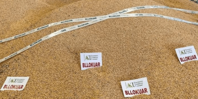 Pas Shkodrës, zbulohen edhe në Elbasan 50 ton misër me aflatoksinë nga Serbia