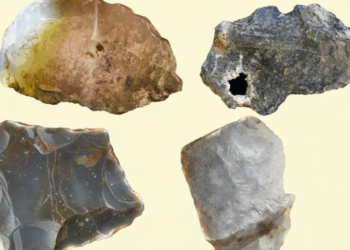 Njerëzit e parë ishin krijues, zbulimi që sjell të tjera dëshmi të evolucionit