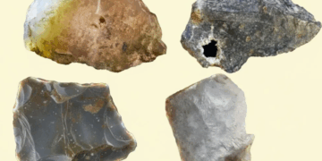 Njerëzit e parë ishin krijues, zbulimi që sjell të tjera dëshmi të evolucionit