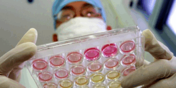 Teknologjia kundër kohës, përpjekjet e Kinës për të zgjatur jetën