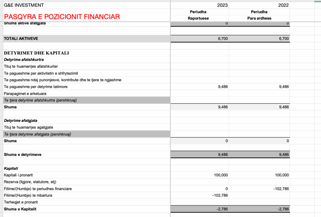 Bilanci i kompanisë. Burimi: QKB