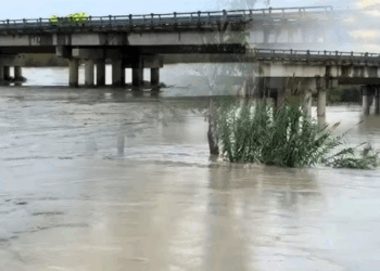 Familje të evakuara, dhjetëra hektarë nën ujë, si paraqitet situata me përmbytjet në vend