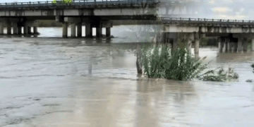 Familje të evakuara, dhjetëra hektarë nën ujë, si paraqitet situata me përmbytjet në vend