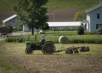 Rikthimi i kompensimit të TVSH në bujqësi çorodit fermerët; Si do funksionojë skema