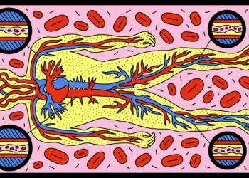 Kolesteroli është shumë më kompleks se sa i “miri” dhe i “keqi”: Shkenca zbulon se ka shumë përtej këtyre termave