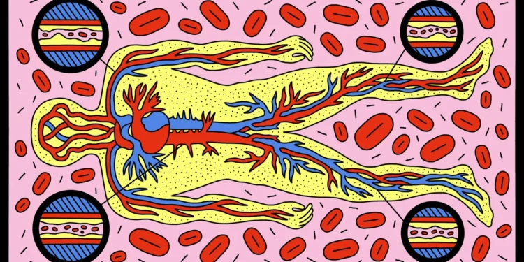 Kolesteroli është shumë më kompleks se sa i “miri” dhe i “keqi”: Shkenca zbulon se ka shumë përtej këtyre termave