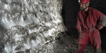 Rrjeta më e madhe e merimangës në botë ndodhet në një shpellë pranë Leskovikut