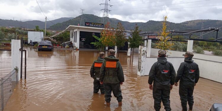 Pas shirave dhe borë, si paraqitet situata në të gjithë qarqet e vendit