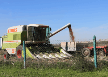 Mungesa e sigurisë ushqimore si etaloni i dështimit të shoqërisë shqiptare