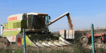 Mungesa e sigurisë ushqimore si etaloni i dështimit të shoqërisë shqiptare