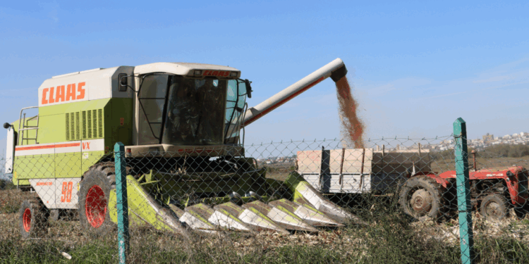 Mungesa e sigurisë ushqimore si etaloni i dështimit të shoqërisë shqiptare