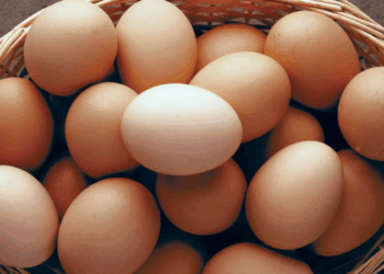 Eksportet drejt Shqipërisë, çmimi i vezëve në Kosovë arrin nivelin më të lartë ndonjëherë