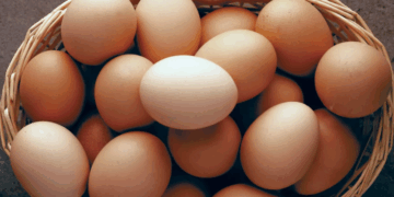 Eksportet drejt Shqipërisë, çmimi i vezëve në Kosovë arrin nivelin më të lartë ndonjëherë