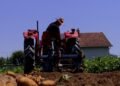 Bujqit po kthehen në konsumatorë, migrimi nga rrethet drejt Tiranës po cenon garantimin e furnizimit me ushqime