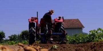 Bujqit po kthehen në konsumatorë, migrimi nga rrethet drejt Tiranës po cenon garantimin e furnizimit me ushqime