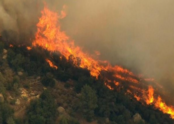 Raporti i KE për zjarret në 2024: Evropa u përball me vitin më të keq në histori, Shqipëria pësoi humbjet më të rënda