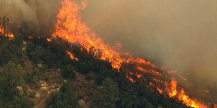 Raporti i KE për zjarret në 2024: Evropa u përball me vitin më të keq në histori, Shqipëria pësoi humbjet më të rënda