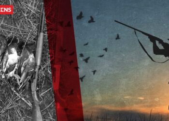 Çelja “e koncensionuar” e gjuetisë