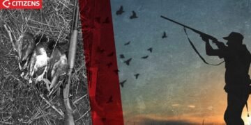 Çelja “e koncensionuar” e gjuetisë